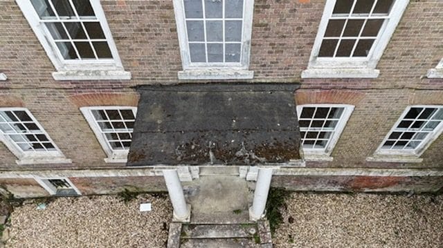 Plants growing in blocked gutters